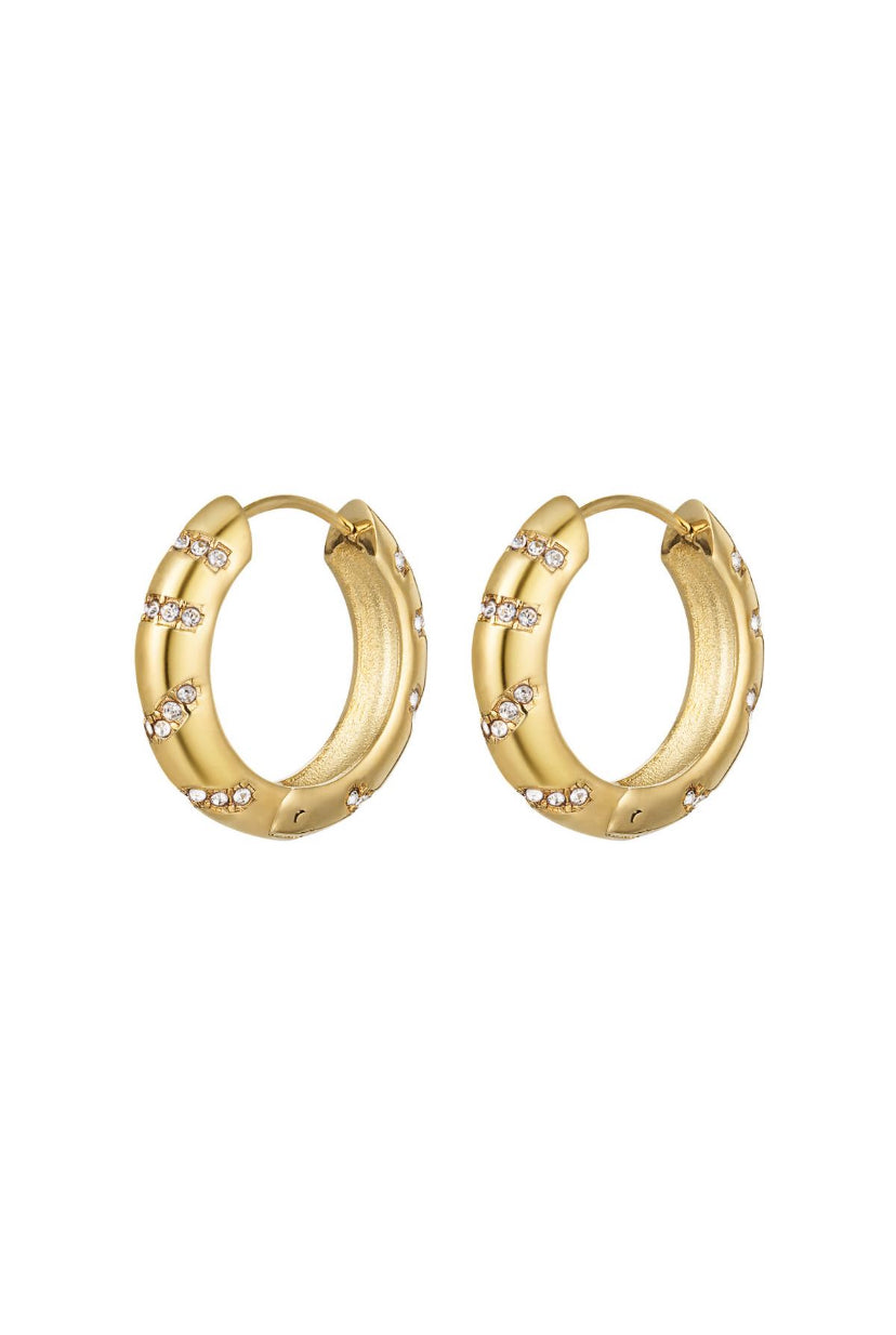 PERFECT HOOPS OORBELLEN