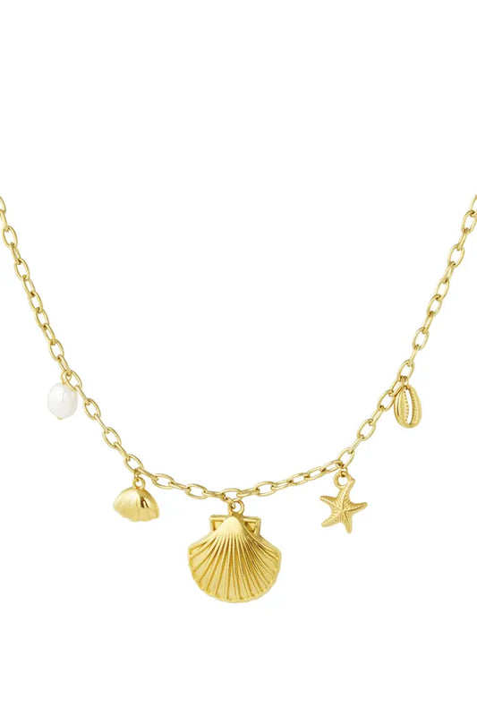 SEA SHELL KETTING