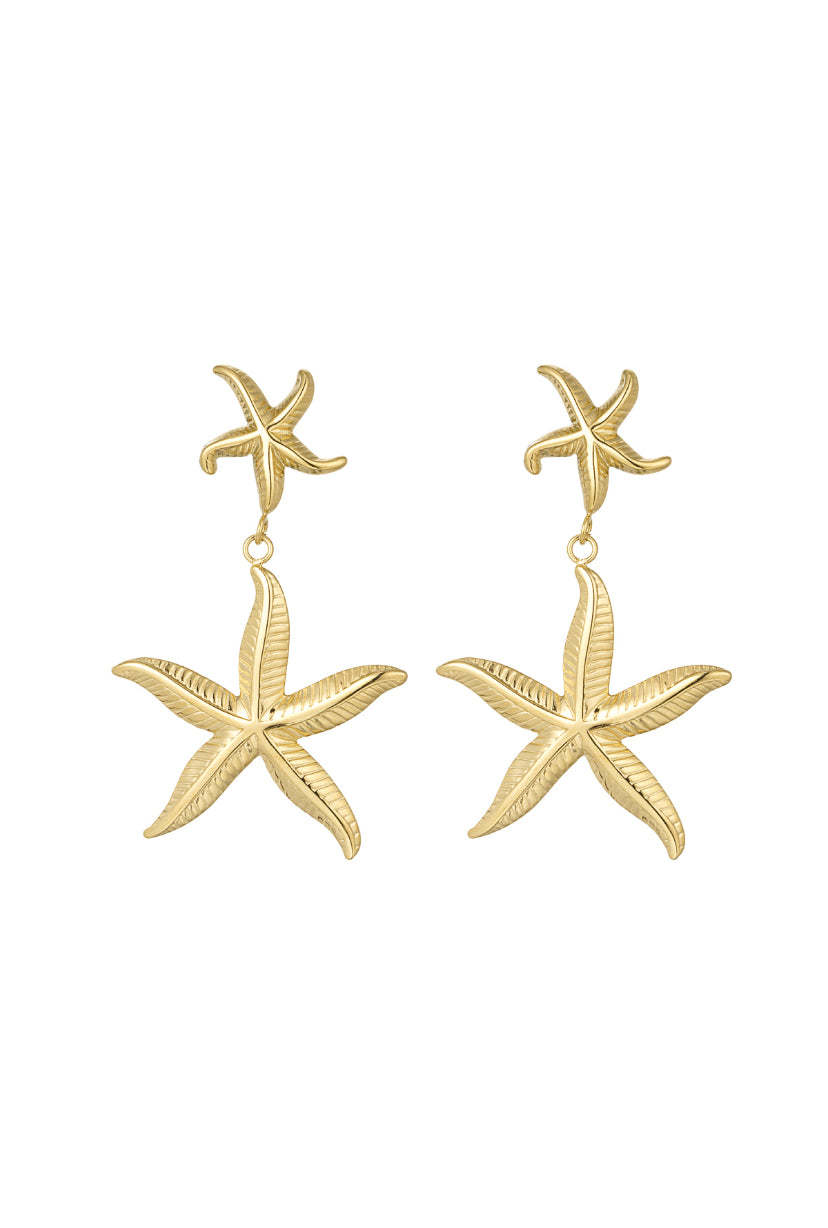 SEA STARS OORBELLEN