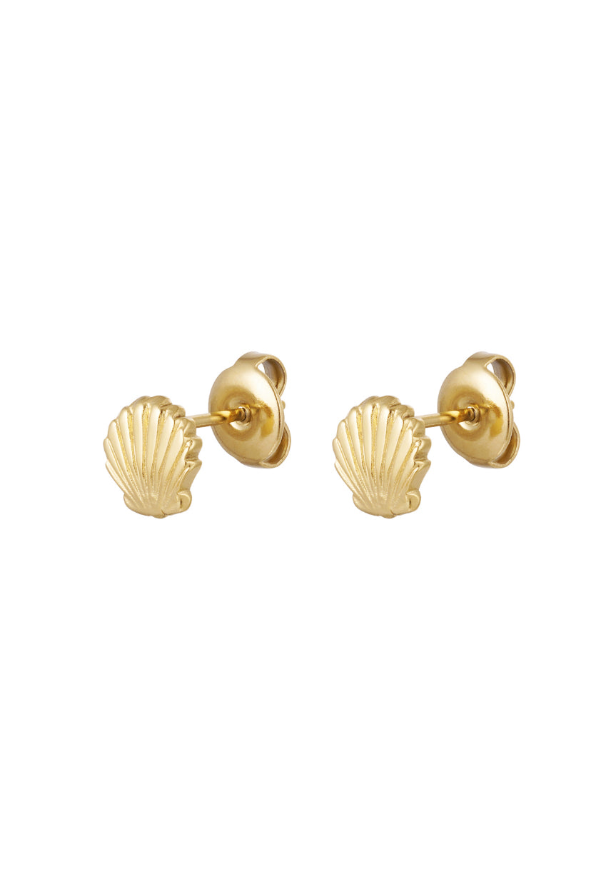 Studs schelpen goudkleurig waterproof