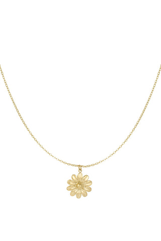 BLOSSOM BLISS KETTING