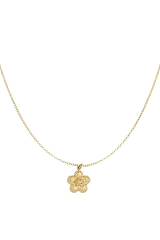 DAISY KETTING