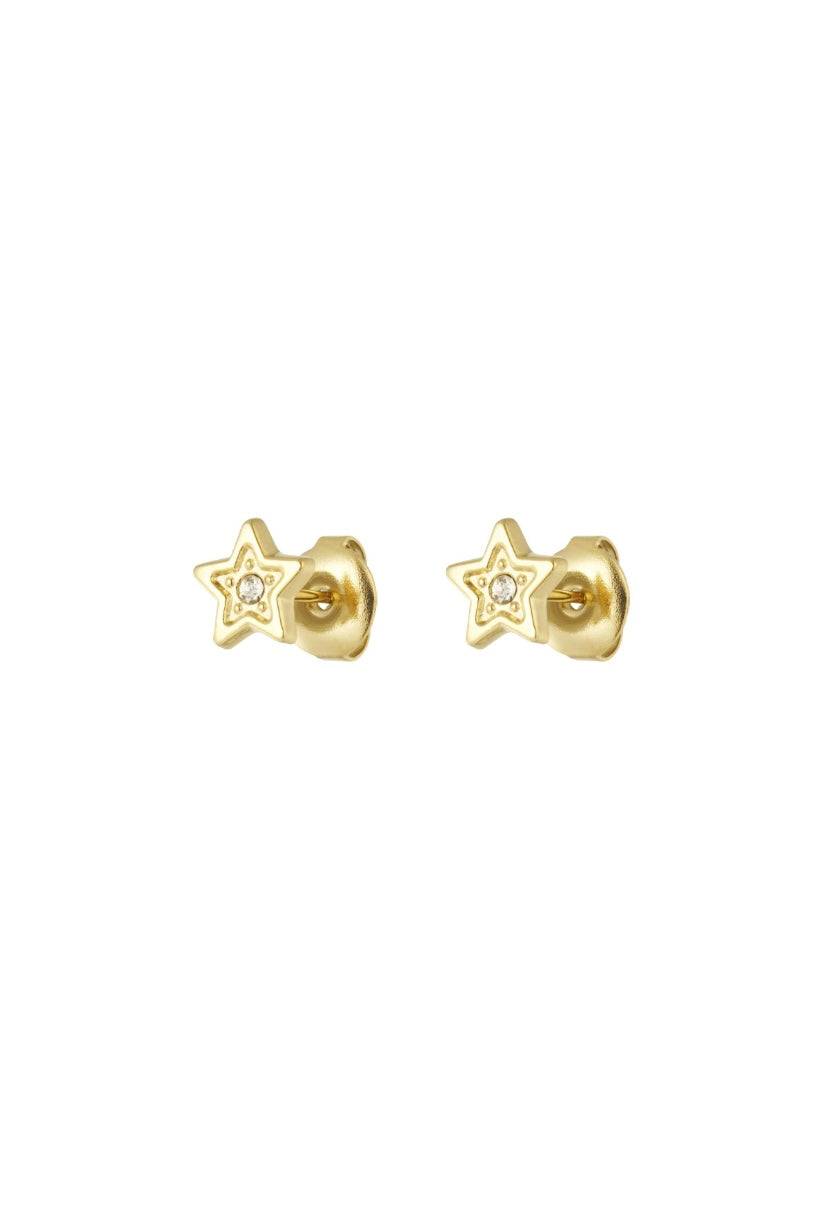 Oorknopjes sterren goud stainless steel