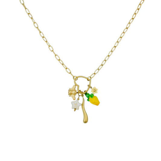 Ketting met hanger en bedels van hart, citroen, ster, bloem en bij