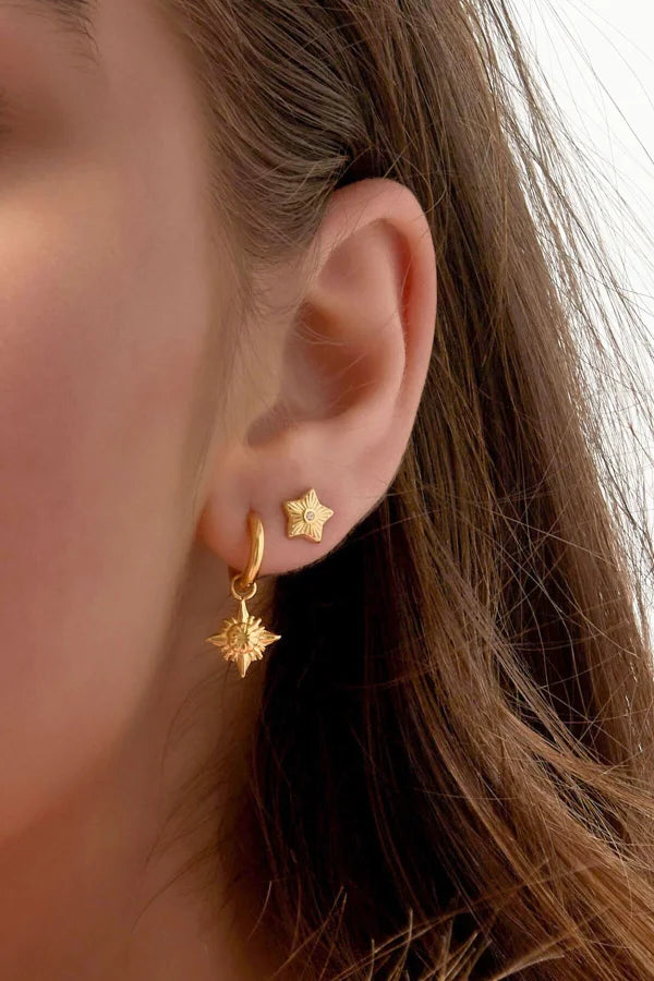Oorstuds ster met steentje in goud stainless steel