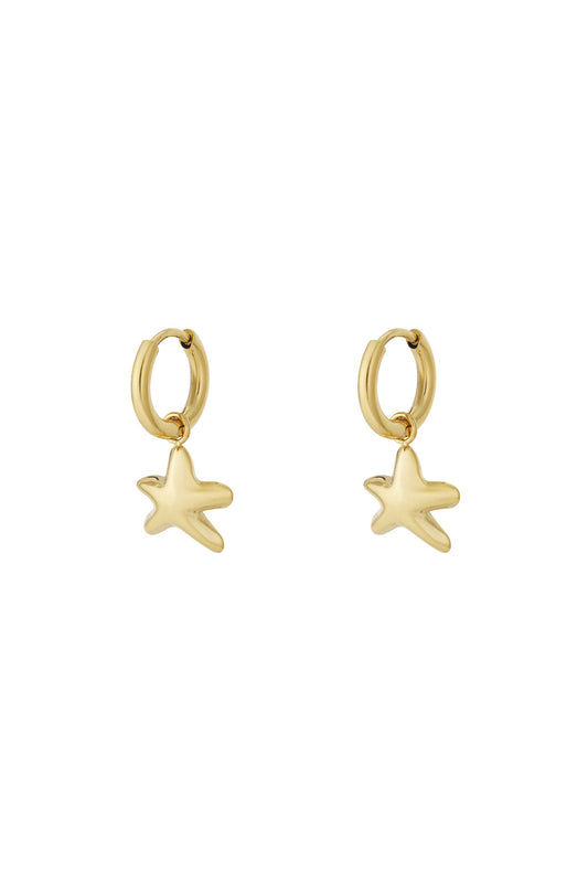 Kleine sterretjes oorbellen in het goud
